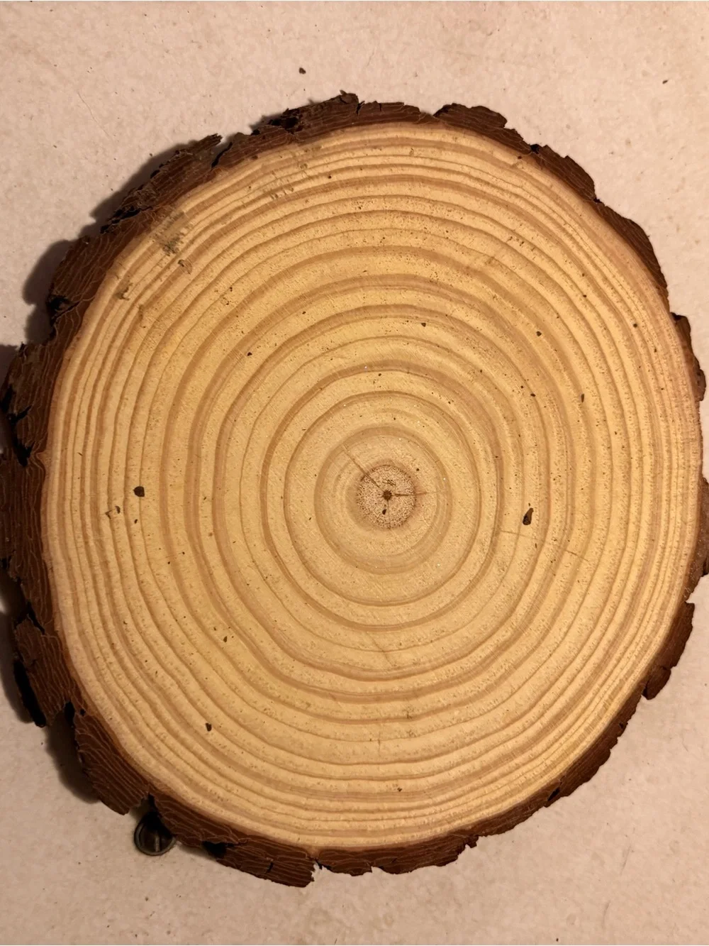 Rustic unfinished 11” wood slices- $20 ea or $80 for set of 4